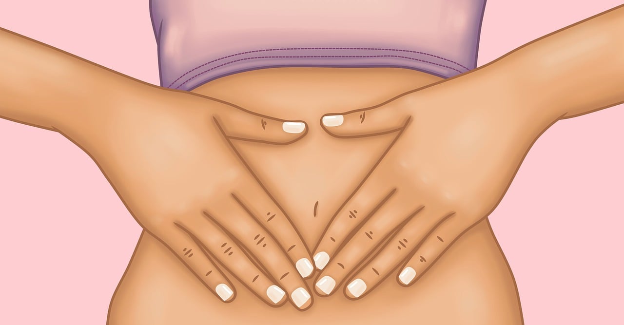 découvrez tout sur la digestion : son processus mystérieux, les aliments qui l'influencent, et des conseils pour améliorer votre santé digestive. apprenez à mieux comprendre le fonctionnement de votre corps et comment une bonne digestion contribue à votre bien-être général.