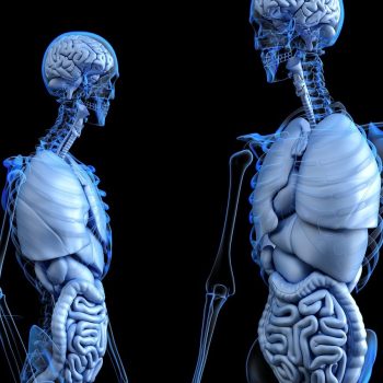 découvrez le processus complexe de la digestion et son importance pour la santé. apprenez comment notre corps transforme les aliments en nutriments essentiels et explorez des conseils pour améliorer votre digestion.