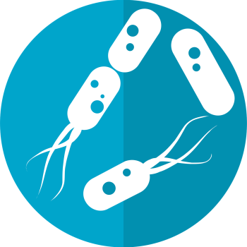 découvrez le microbiome, un écosystème fascinant de micro-organismes qui cohabitent dans notre corps. apprenez comment ces bactéries influencent notre santé, notre digestion et même notre humeur. explorez les dernières recherches et conseils pour optimiser votre microbiome et améliorer votre bien-être au quotidien.