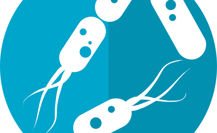 découvrez le microbiome, un écosystème fascinant de micro-organismes qui cohabitent dans notre corps. apprenez comment ces bactéries influencent notre santé, notre digestion et même notre humeur. explorez les dernières recherches et conseils pour optimiser votre microbiome et améliorer votre bien-être au quotidien.