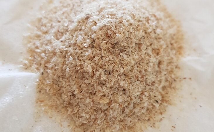 découvrez les bienfaits du psyllium pour la digestion, la santé cardiovasculaire et le contrôle du poids grâce à ses fibres naturelles.