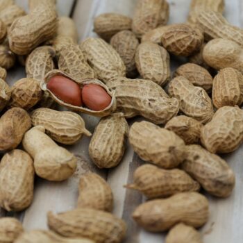 découvrez les protéines végétales complètes, sources essentielles d'acides aminés pour une alimentation saine et équilibrée, adaptée aux régimes végétariens et véganes.