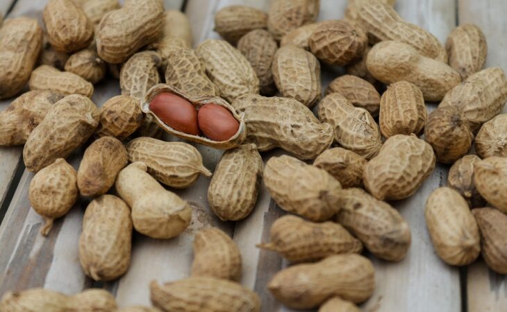 découvrez les protéines végétales complètes, sources essentielles d'acides aminés pour une alimentation saine et équilibrée, adaptée aux régimes végétariens et véganes.