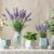 Plantes antispasmodiques : soulager les spasmes naturellement